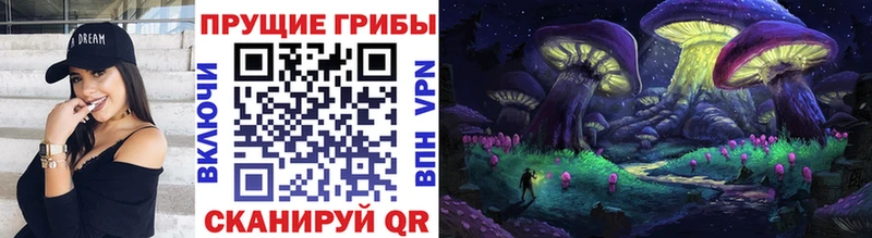 Галлюциногенные грибы Psilocybine cubensis  Арзамас 