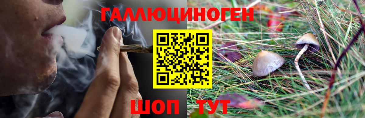 Галлюциногенные грибы Psilocybe  Псилоцибиновые грибы мухоморы  Вход с VPN  Арзамас 