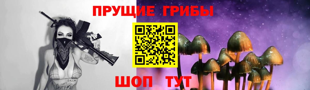 Галлюциногенные грибы Psilocybine cubensis Арзамас